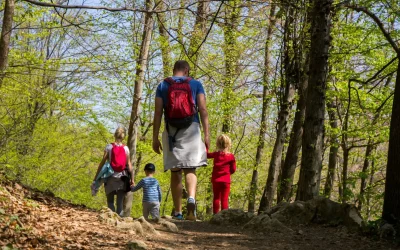 Harnessing the Power of Negative Ions: Enhancing Health and Well-Being Indoors