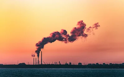 The Silent Threat: How Air Pollution Harms Health Over Time