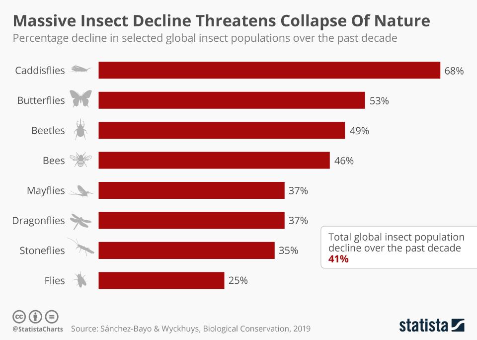 graph-of-insect-decline-are-dragonflies-pollinators