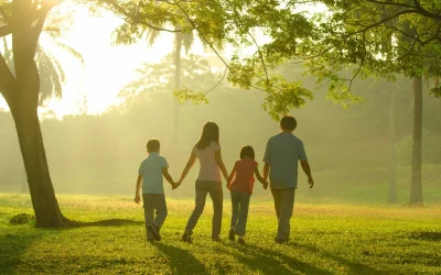 5 Ways INSECTEC Products Promote a Safer Living Environment