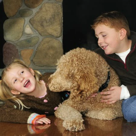 SAUER BLOG COVER IMAGES (16)