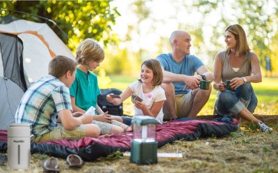 Something New is Evolving: The Next Frontier of INSECTEC Innovation